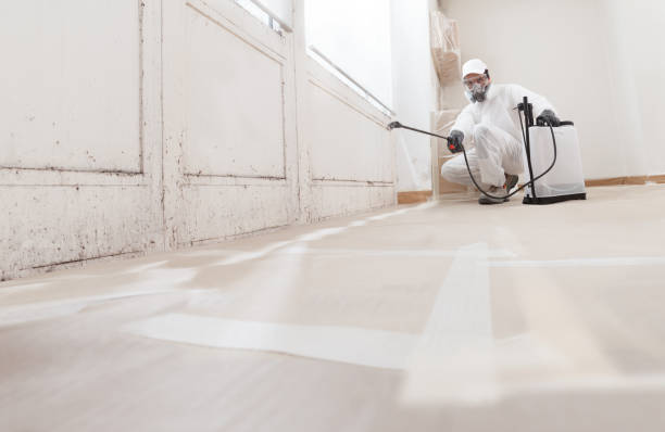 24/7 Emergency Mold Remediation experts in Hawthorne, NJ